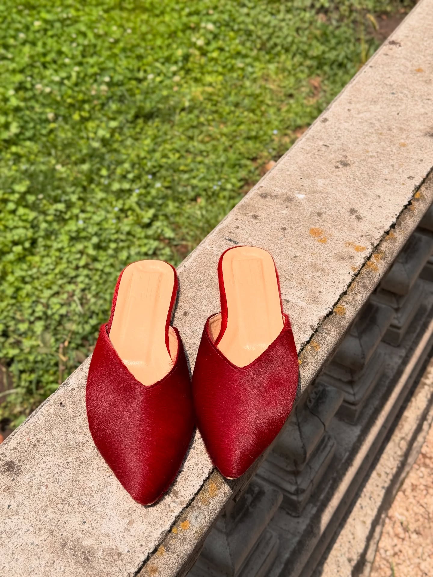 Metsamuli Mules
